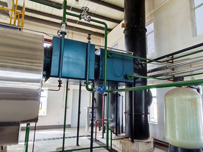 15ton gas fuel steam boiler for EPS foam factory (3).jpg